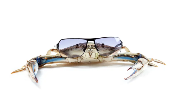 Blue crab wearing sunglasses — Stock Photo, Image