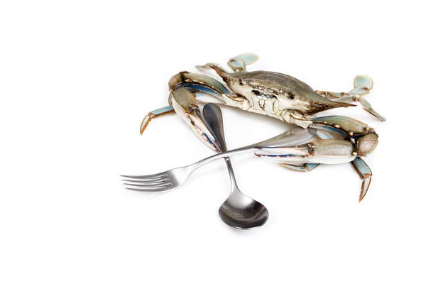 Blue crab on white background with fork and spoon — Stock Photo, Image