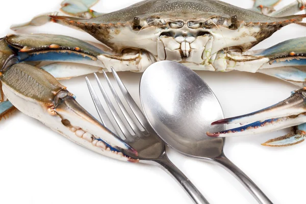 Blauwe krab op witte achtergrond met lepel en vork — Stockfoto