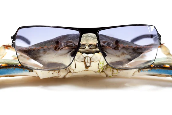 Blue crab wearing sunglasses — Stock Photo, Image