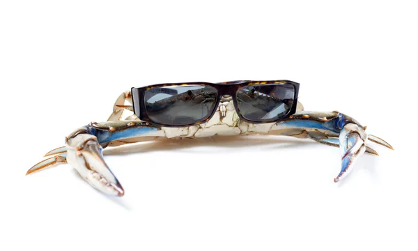 Krab modrý sluneční brýle — Stock fotografie