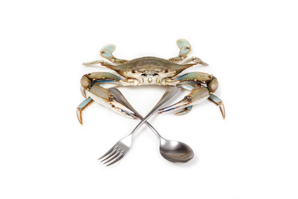 Crabe bleu sur fond blanc avec fourchette et cuillère — Photo