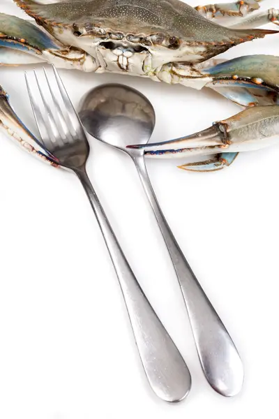 Blauwe krab op witte achtergrond met lepel en vork — Stockfoto