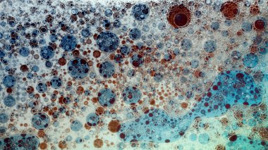 su yüzeyinde petrol düştü