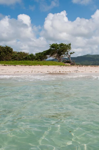 Praia deserta em Vieux Fort — Fotografia de Stock