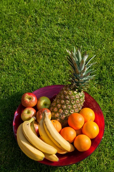 Fruit bowl — Stock Photo, Image