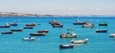 Harbor in Cascais