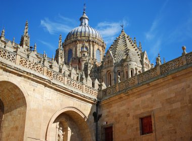 Yeni katedral kubbe