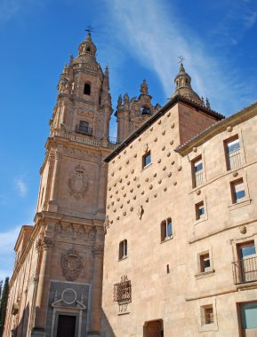 Üniversite ve kabukları ev