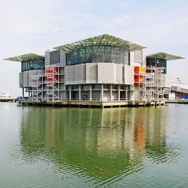 O oceanário de lisboa — Fotografia de Stock