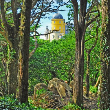 sintra Pena Sarayı