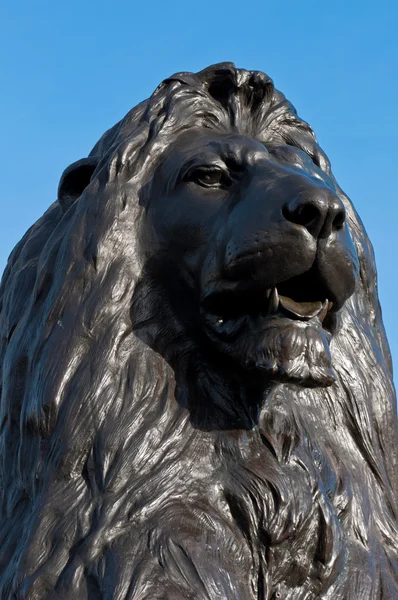 Trafalgar Square Lion — Stock Photo, Image