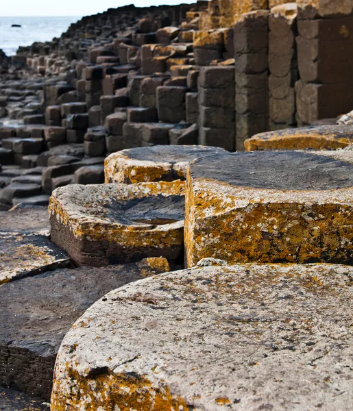 Giants Causeway — Stockfoto