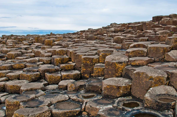 Causeway gigantes — Fotografia de Stock