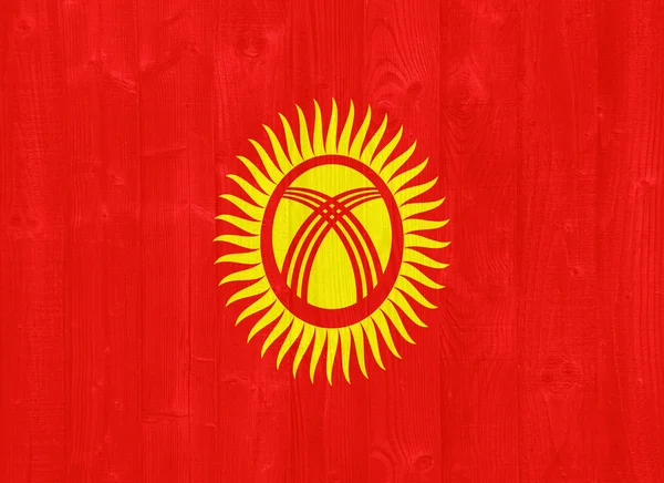 Kirgizisztán zászló — Stock Fotó