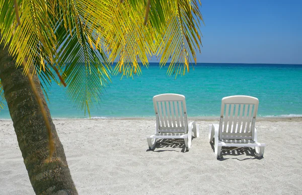 Caribisch strandstoelen en palm — Stockfoto