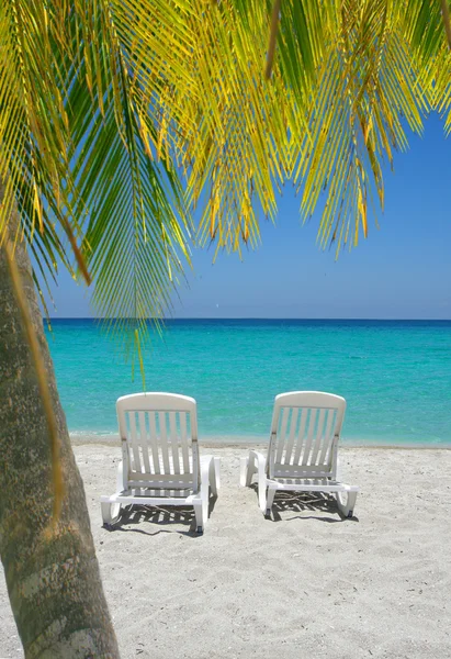 Sillas de playa caribeñas y palmeras — Foto de Stock