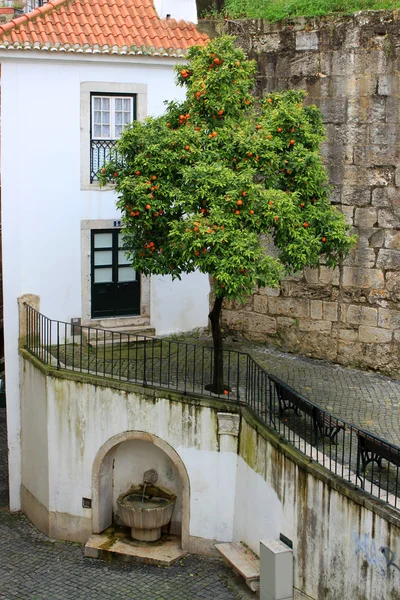 Pomarańcza i fontanna w alfama — Zdjęcie stockowe