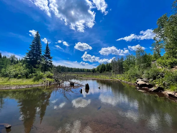 Diep Het Bos Van New Brunswick Met Een Serene Scène — Stockfoto