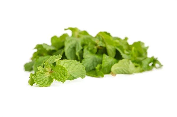 Tres hojas frescas de menta aisladas sobre fondo blanco. Estudio mac — Foto de Stock