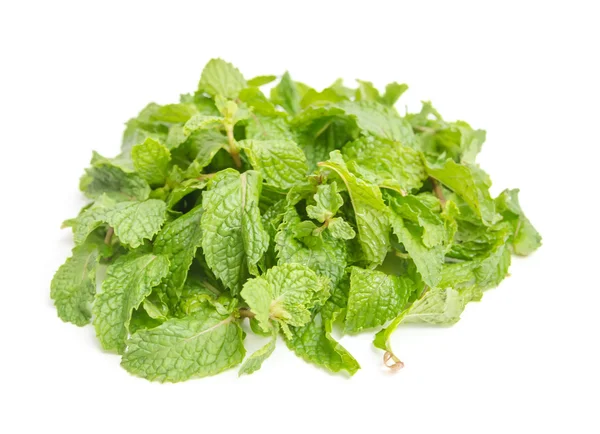 Three fresh mint leaves isolated on white background. Studio mac — Stock Photo, Image