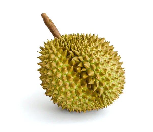 Durian, the king of fruits in South East Asia on background. Stock Picture