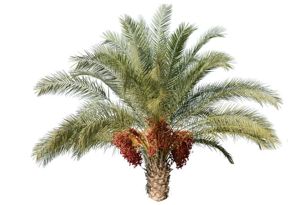 Alanya