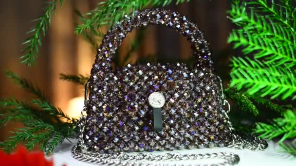 有水晶和珍珠珠宝的时髦手提包 — 图库视频影像