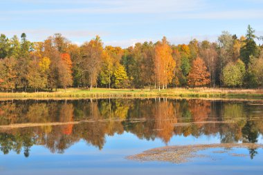 gatchina sonbaharda. St. petersburg