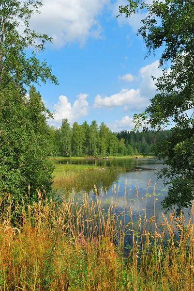 Doğu Finlandiya — Stok fotoğraf