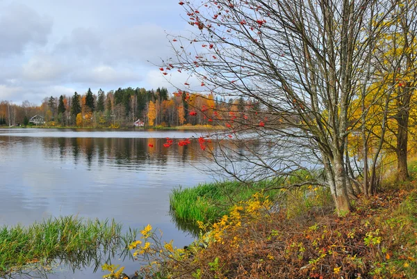 Finlandiya. Göl vanajavesi