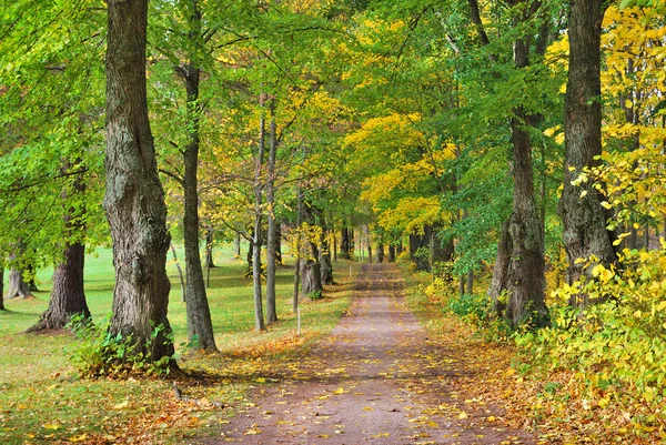 Finland, Hameenlinna. Park Aulanko in autumn — Stock Photo, Image