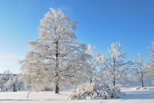 Vinter i finland — Stockfoto