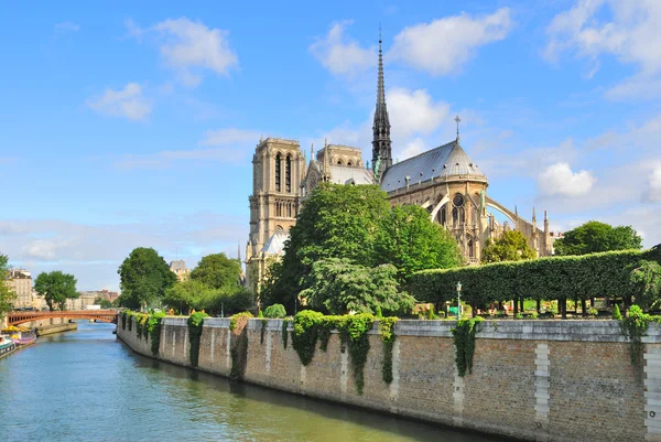 Parigi. Notre Dame — Foto Stock