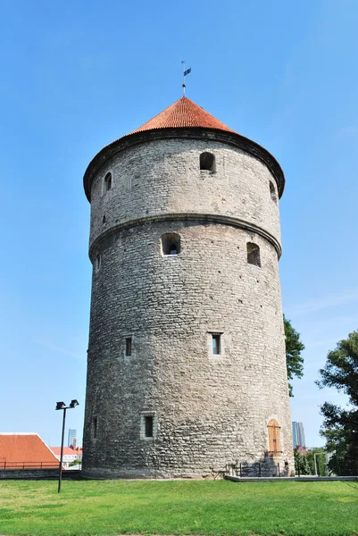 Tallinn, Estonia. Medieval tower Kiek-in-de-Kok — Stock Photo, Image