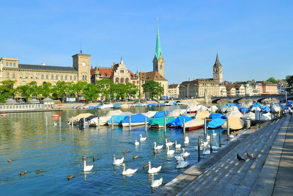 Zürich i sommar — Stockfoto