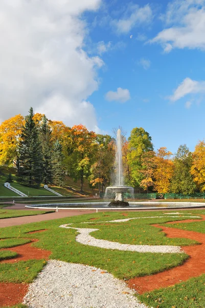 Αγία Πετρούπολη, peterhof. χαμηλότερη πάρκο — Φωτογραφία Αρχείου