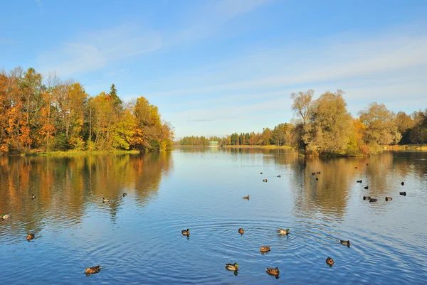 St. Petersburg, Gatchina. Golden Autumn — Stock Photo, Image