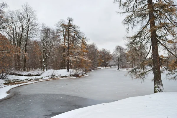 November. First Snow — Stock Photo, Image