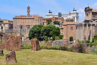 İtalya. Roma Forumu