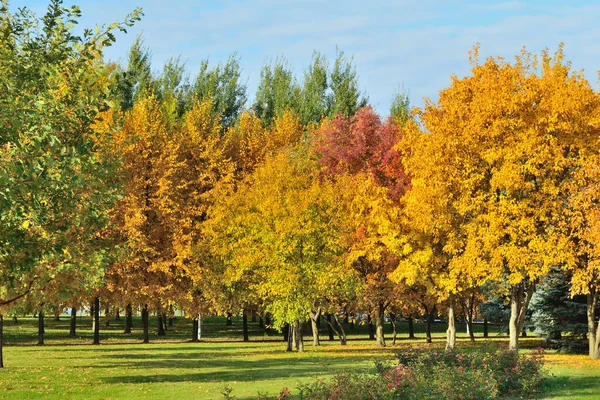 Красивый Парк Осенью — стоковое фото