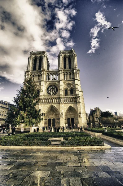 Cores da Catedral de Notre Dame no inverno — Fotografia de Stock