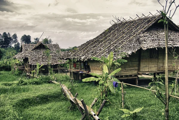 Thailand vegetatie en kleuren — Stockfoto