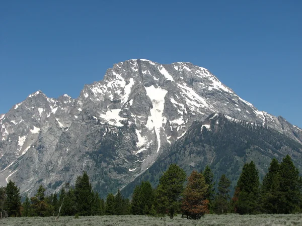 Τοπίο και τα βουνά του εθνικού πάρκου grand teton — Φωτογραφία Αρχείου