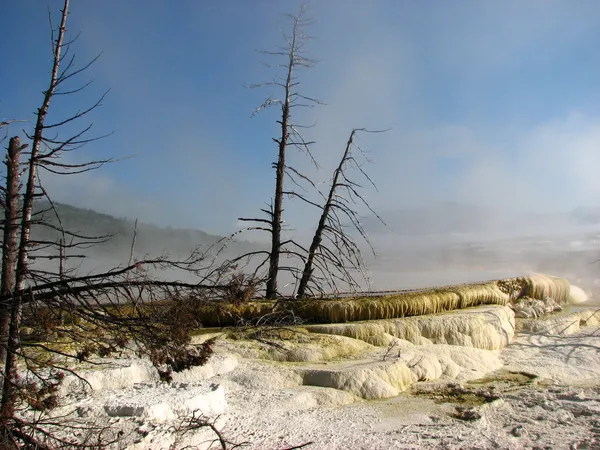 间歇泉，在怀俄明州的黄石国家公园 — 图库照片