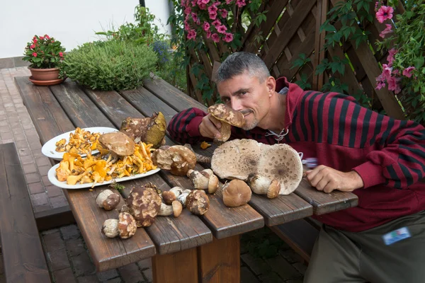 Man sniffing Boletus Mushrooms — Stock Photo, Image