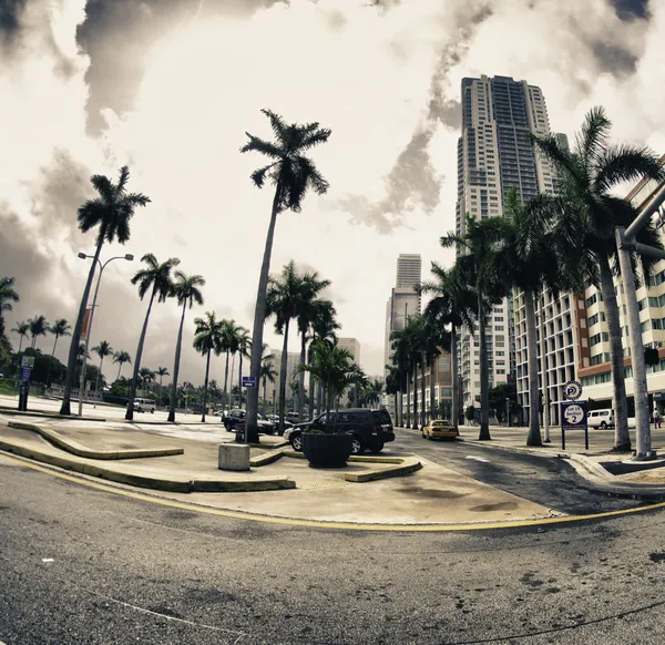 Straten en gebouwen in miami — Stockfoto