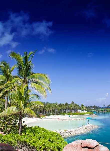 Cores de Nassau, Bahamas — Fotografia de Stock