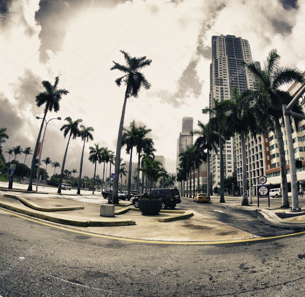 Streets and Buildings in Miami