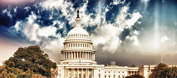 Capitolio de Washington con cielo y vegetación —  Fotos de Stock